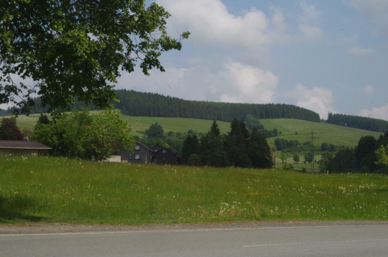 Das Gelbe Haus 3 Apartman Winterberg Kültér fotó